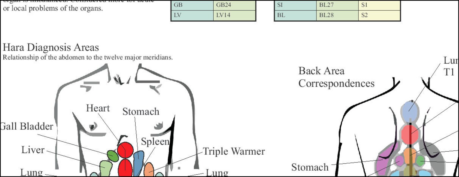 Shiatsu Chart