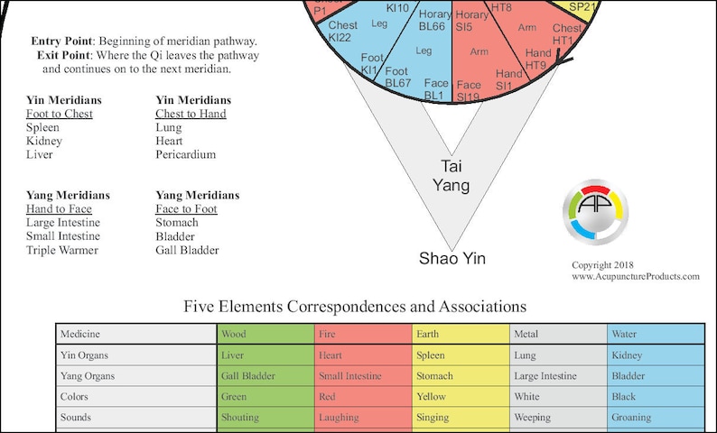 Shiatsu Chart