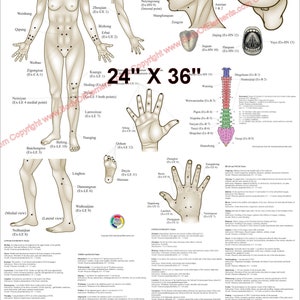 Außergewöhnliche Akupunkturpunkte Lage und Indikationen Poster TCM Diagramm Papier oder laminiert 18 "x 24" & 24 "x 36"