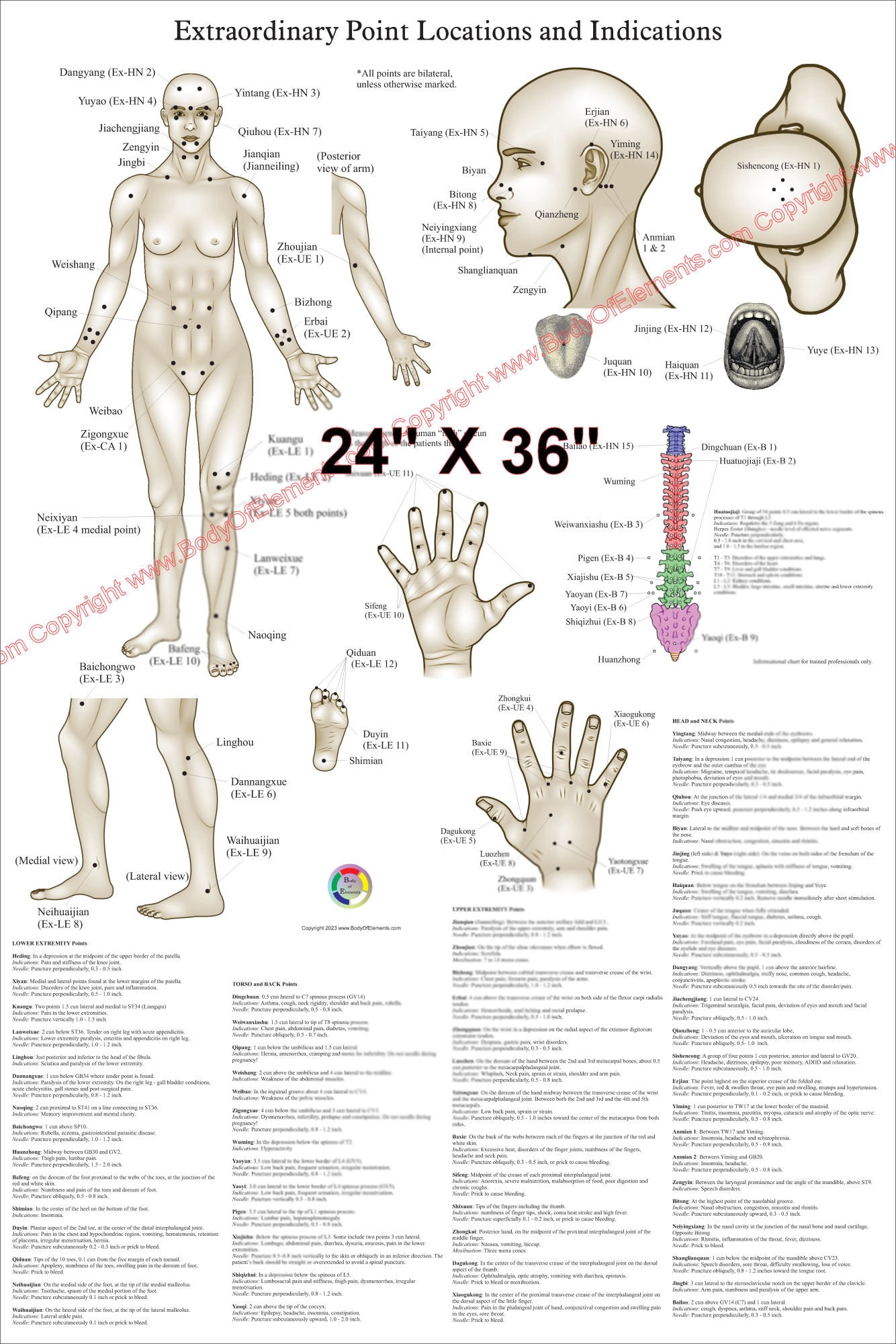 acupressure-meridian-chart-etsy for Free Printable Acupressure Points Chart Acupressure Meridian Chart - Etsy for Free Printable Acupressure Points Chart
