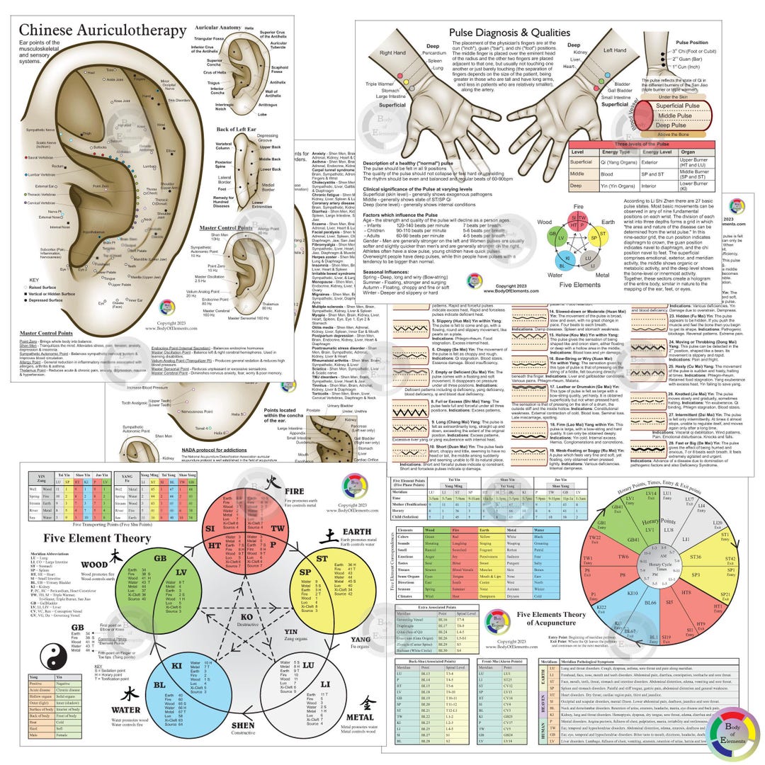 3 Acupuncture 8.5" X 11" Student Study Chart Set Auriculotherapy Five ...