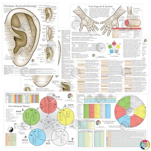 May include: A colourful chart illustrating the Five Element Theory of Acupuncture. The chart features a circular diagram with five sections representing the elements: Wood, Fire, Earth, Metal, and Water. Each section is labelled with the Chinese character for the element and includes a list of related organs and meridians. The chart also includes a table with the five elements and their corresponding colours, seasons, and emotions.