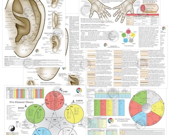 3 Acupuncture 8.5" X 11" Student Study Chart Set Auriculotherapy Five Elements & Pulse Diagnosis Traditional Chinese Medicine