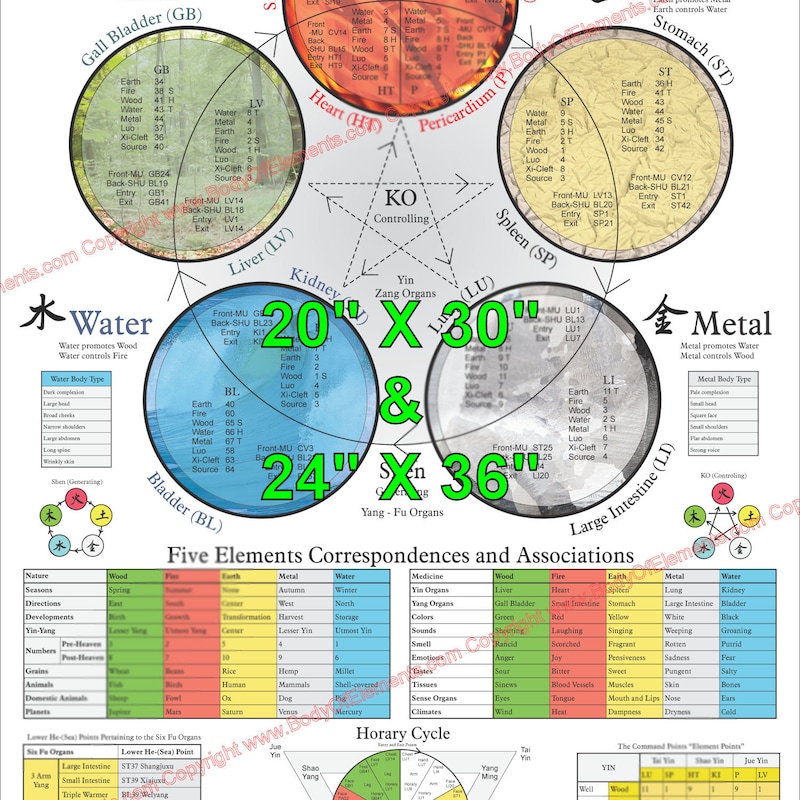 Chinese Medicine Etsy