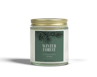 Winter Forest Candle | Scented Coconut Apricot Wax Jar 4oz 9oz