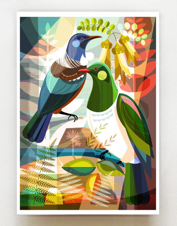New Zealand Kereru and Tui, print, NZA206
