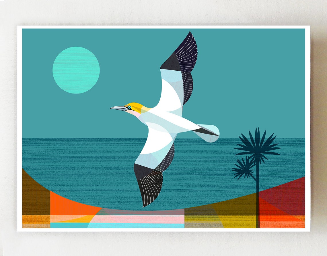 Horizontal New Zealand Gannet Print NZA38 - Etsy