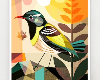 New Zealand native Hihi, print, NZA138