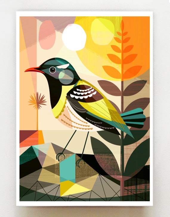 New Zealand native Hihi, print, NZA138