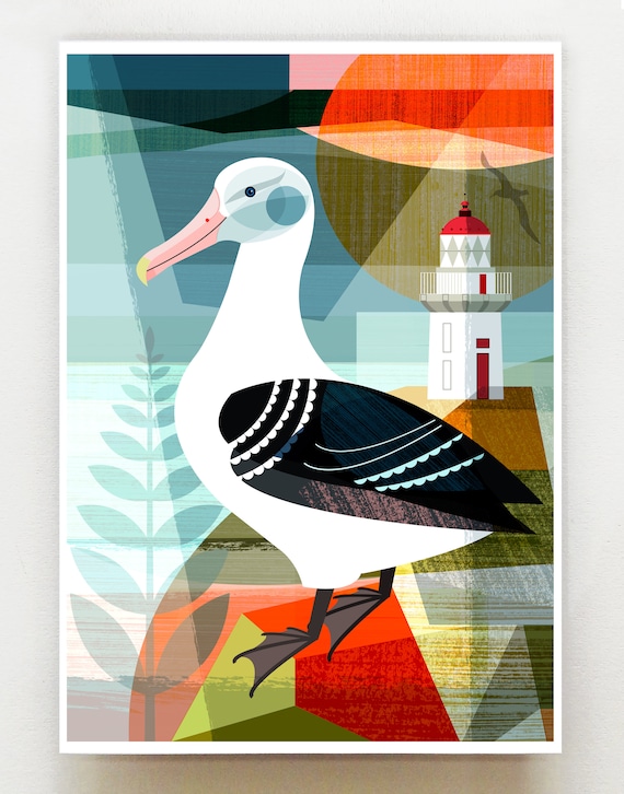 New Zealand Royal Albatross, print, NZA144