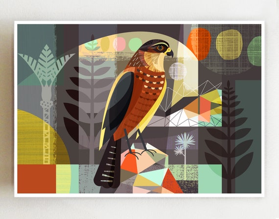 Landscape Karearea, The New Zealand Falcon print NZA27