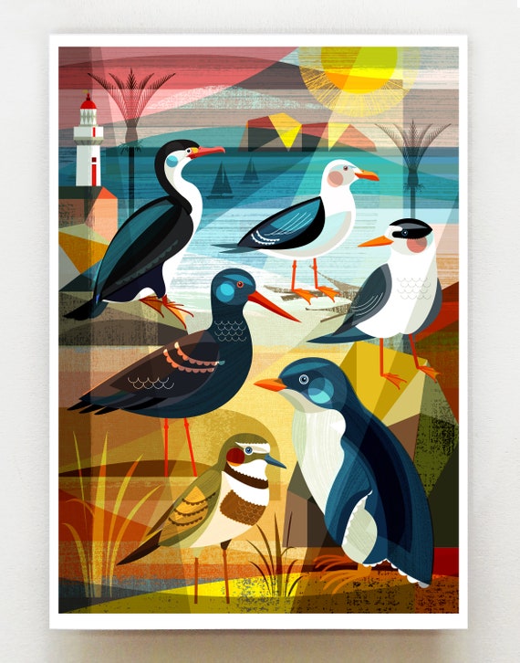 Beach birds of New Zealand, print, NZA143