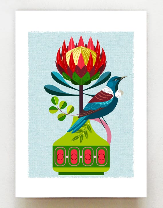New Zealand Tui and Protea with retro vase, print, NZA217