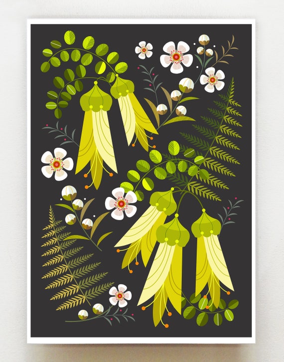 New Zealand Kowhai, print, NZA197