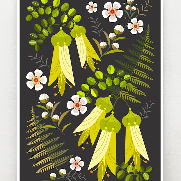 New Zealand Kowhai, print, NZA197