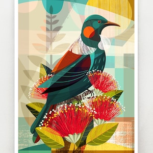 New Zealand, Tui in Pohutukawa, print, NZA124