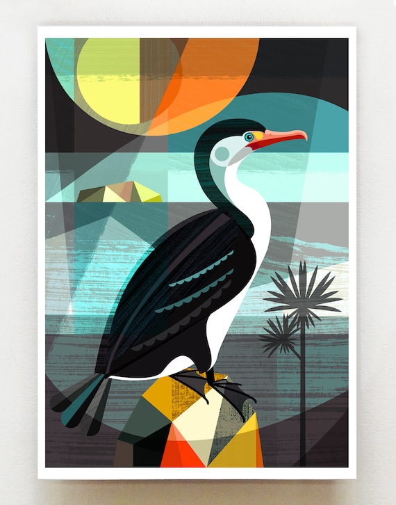 New Zealand Shag print, NZA82