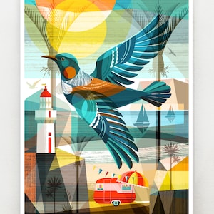 New Zealand, Tui in Flight, print, NZA136