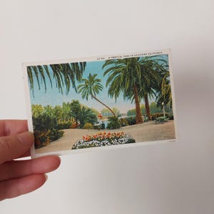 USA American unused Postcard -  South California