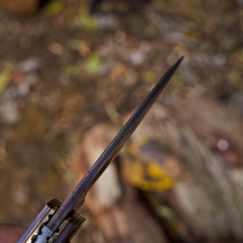 May include: A close-up view of a knife blade showing the spine and layered metal construction. The blade features a dark, multi-layered pattern along the spine, transitioning to a sharp, pointed tip. The handle base shows metallic components.