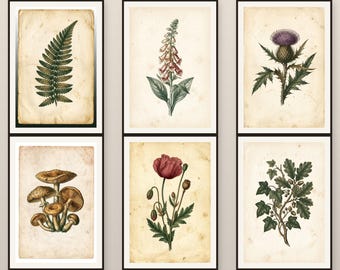 Conjunto de láminas botánicas de estilo Dark Academia / Ilustraciones vintage (Descarga digital)