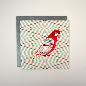 Cartão de felicitações - Papagaio Arlequim