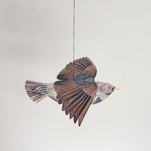 Kit Oiseau Pop Up - L'Étourneau