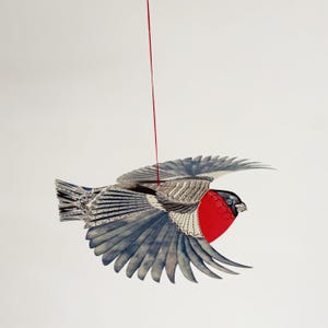 Kit de pájaro emergente: el camachuelo