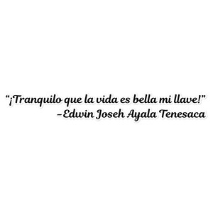 May include: White sticker with the quote "¡Tranquilo que la vida es bella mi llave!" and the author's name, Edwin Joseh Ayala Tenesaca, in black text. The sticker is a motivational item.