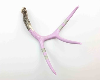 Painted Antler - LARGE - Lilac Monochromatic - Taxidermy and Curiosities