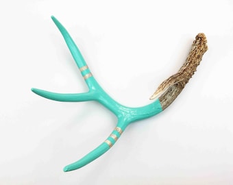 Painted Antler - LARGE - Aqua Monochromatic - Taxidermy and Curiosities