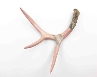 Painted Antler - MEDIUM - Dusty Pink Monochromatic - Taxidermy and Curiosities