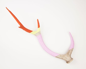 Painted Antler - EXTRA LARGE - Sika - Orange, Lemonade & Lavender Striped