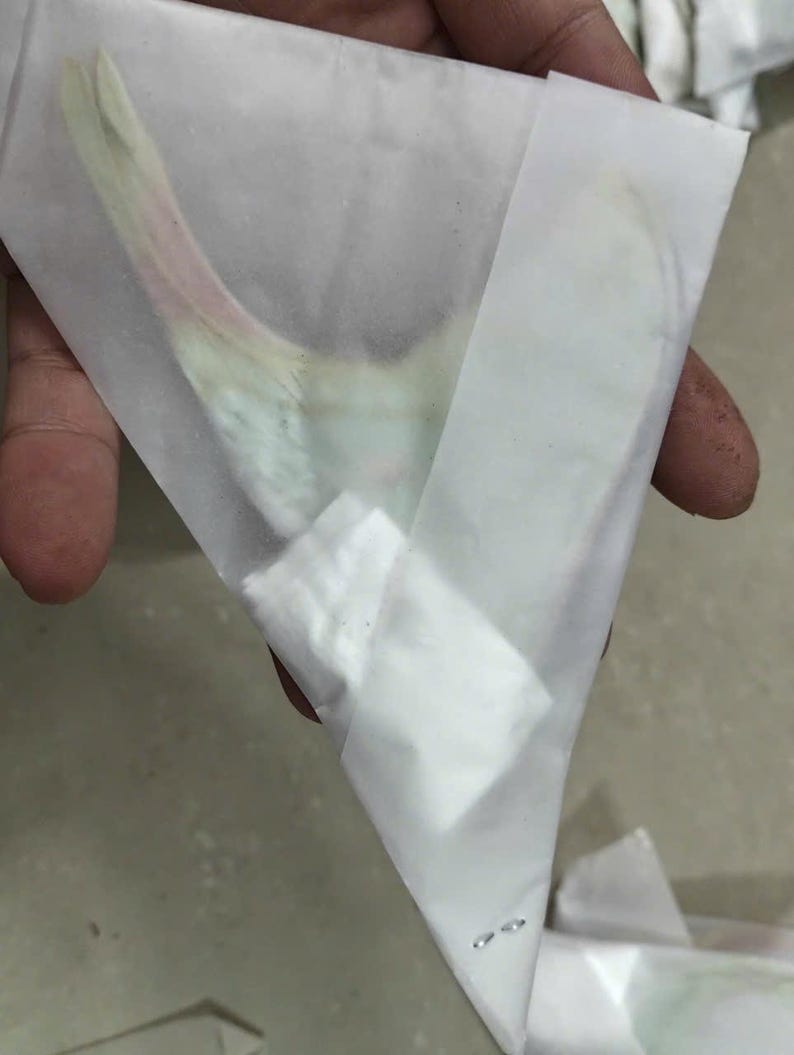 May include: A triangular, semi-transparent white paper envelope containing a pale, iridescent object with subtle green and pink hues. The paper is folded into a point at the bottom, and the contents are partially visible through the thin, frosted material.