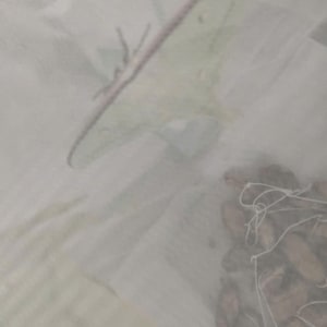 May include: A white fabric surface featuring a pale green moth illustration in the upper section and a cluster of brown, oval-shaped cocoons tied together with thin white string in the lower right corner of the composition.