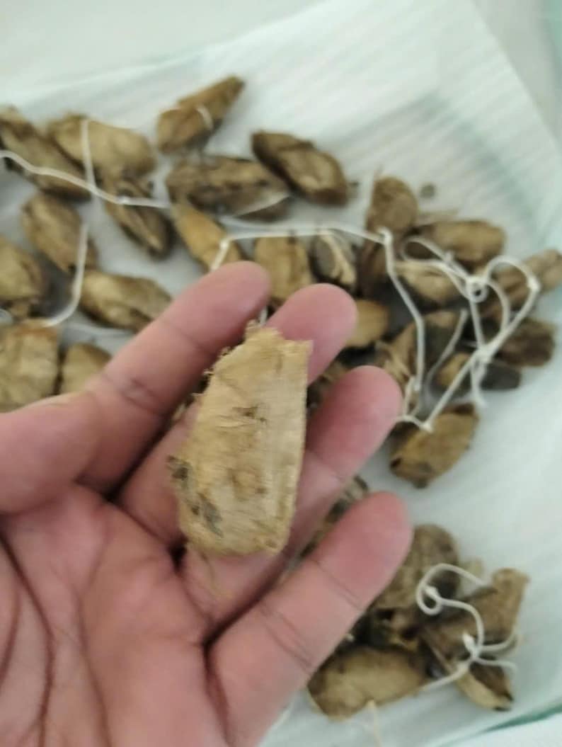 May include: A collection of light brown, dried, elongated seed pods or husks, each attached to a thin white string. The pods have a fibrous, textured surface and are arranged in a loose pile, with one pod held up to show its individual shape.