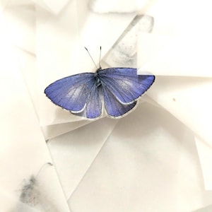 May include: A delicate butterfly with blue wings and silver accents rests on a surface of folded white paper. The butterfly's wings are spread, showcasing their intricate patterns and textures. The image is a close-up, highlighting the butterfly's details.