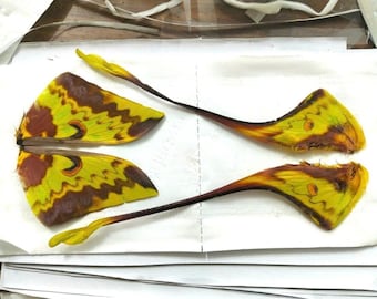 Actias maenas Flügel Set (4 Flügel) | Echte Seidenmottenflügel für Kunst, Schmuck, Schablonen & zum Basteln