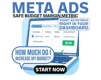 Meta Ads **DAILY** Safe Budget Margin Plugin | How Much Should I Increase My Budget? | Find the Sweet Spot for Ad Spend (Digital Download)
