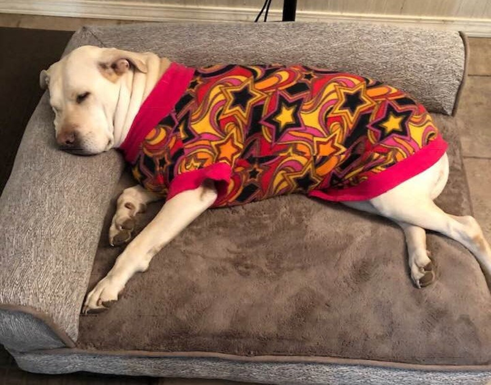 CUSTOM SIZE & PRINT Fleece Dog Sweater Large to Extra Large Etsy