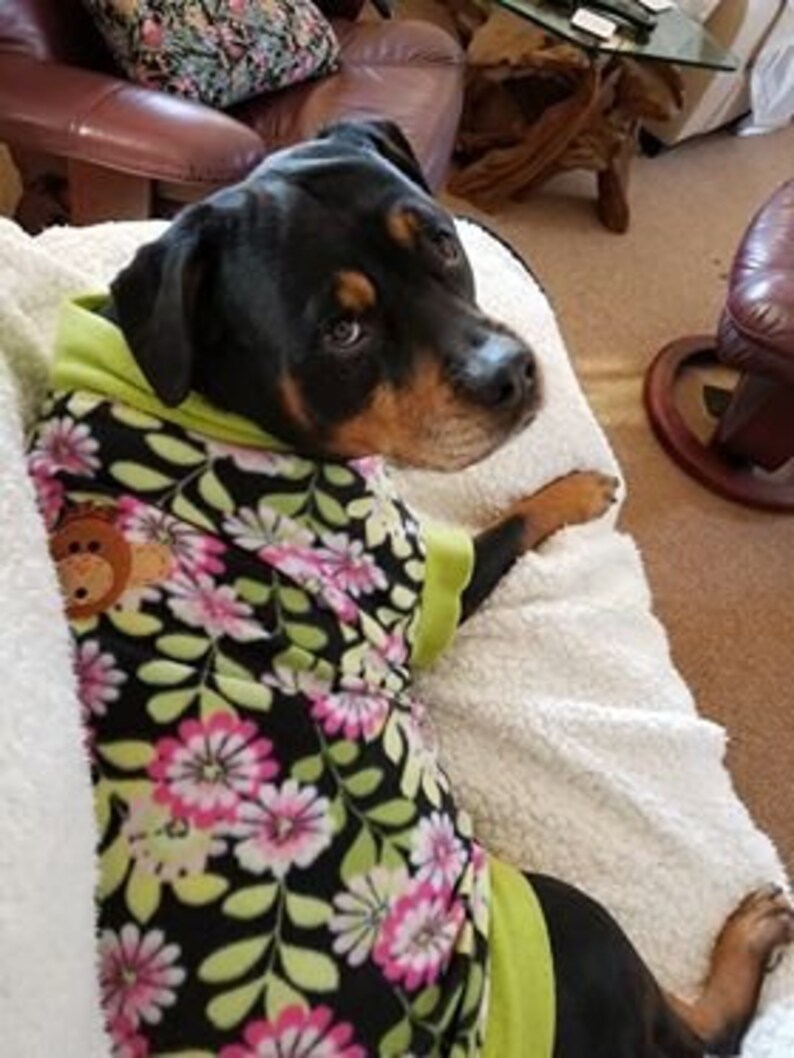 CUSTOM SIZE & PRINT Fleece Dog Sweater Large to Extra Large Etsy