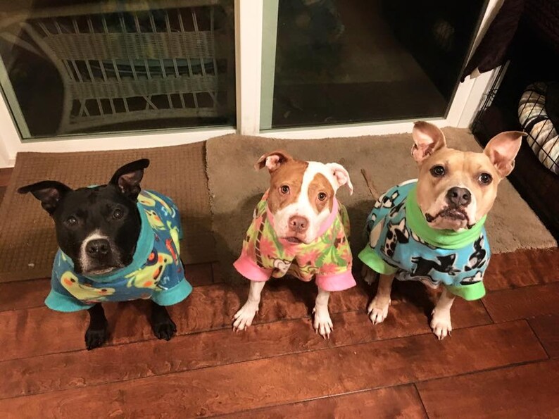 CUSTOM SIZE & PRINT Fleece Dog Sweater Large to Extra Large Etsy