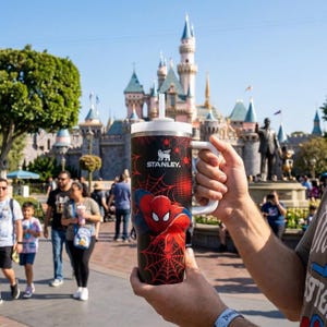 May include: A black and red Stanley tumbler featuring Spider-Man graphics. The tumbler has a white handle and lid with a straw. The background shows a castle and people.