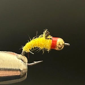 The Yellow Nymph ( 3 pack )