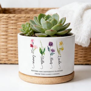 May include: White ceramic planter with a succulent plant, featuring floral illustrations and names: Emma, Stella, Alexy, and Linda. The text reads: "Sisters are different flowers from the same garden." The planter sits on a wooden base.