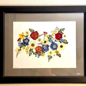 May include: Framed artwork featuring a vibrant arrangement of pressed flowers. The composition includes red roses, blue cornflowers, yellow daisies, and other colorful blooms. The artwork is encased in a black frame with a white matting, creating a striking visual contrast.