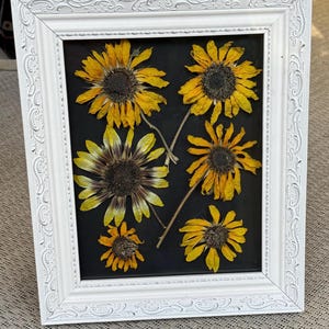May include: A framed pressed flower art piece featuring several yellow sunflowers with dark brown centers against a black background. The white frame has an ornate, carved design. A unique floral home decor item.