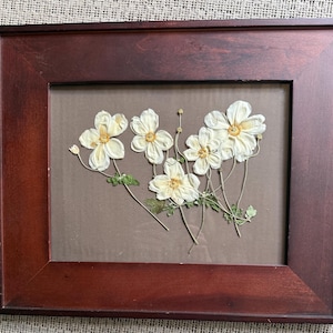 May include: A framed artwork featuring dried white flowers with yellow centers and green stems. The flowers are arranged on a brown background and encased in a dark brown wooden frame. A decorative piece for home decor.