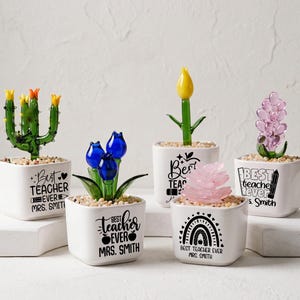 Könnte beinhalten: Fünf kleine, quadratische, weiße Keramikpflanzgefäße, gefüllt mit hellen Kieselsteinen und Glaspflanzenskulpturen. Jeder Topf trägt den schwarzen Schriftzug Best Teacher Ever Mrs. Smith sowie Symbole wie Bleistifte, Äpfel und Regenbögen.