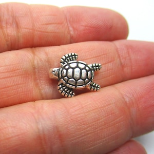 May include: A silver-toned turtle charm with a detailed shell and flippers.